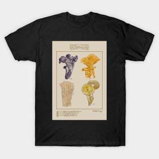 vintage illustration edible fungi T-Shirt